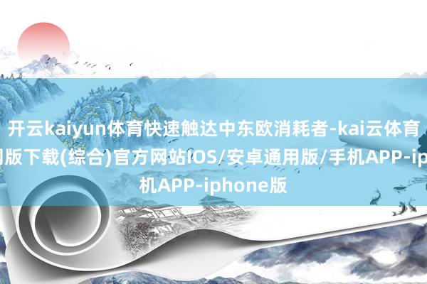 开云kaiyun体育快速触达中东欧消耗者-kai云体育app官网版下载(综合)官方网站IOS/安卓通用版/手机APP-iphone版