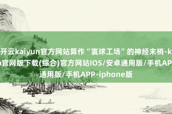 开云kaiyun官方网站算作“寰球工场”的神经末梢-kai云体育app官网版下载(综合)官方网站IOS/安卓通用版/手机APP-iphone版