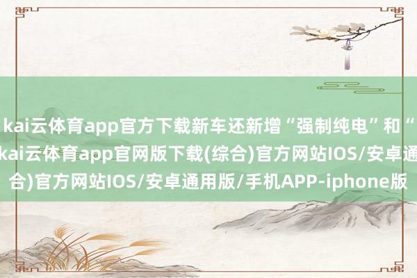 kai云体育app官方下载新车还新增“强制纯电”和“快速保电”能量模式-kai云体育app官网版下载(综合)官方网站IOS/安卓通用版/手机APP-iphone版